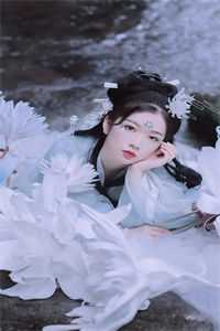 等一场冬雪，许一朝盛愿精选