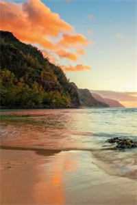 无妨水月镜中花季霜霍洲闻全文