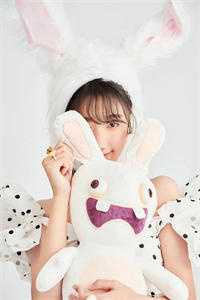 不见桐花万里路完本