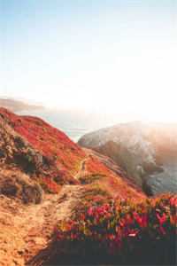 精神小妹实力在，到哪都是实力派好看的小说推荐完结