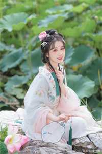 曾诺惊鸿共白头小说免费阅读全文