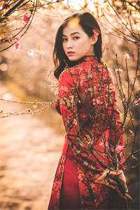 失控娇宠：宋总，夫人她想跑路了！前文+番外