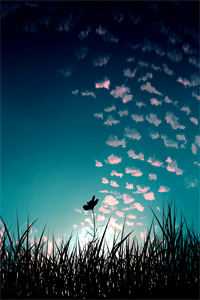 旧时月色浮青苔全文免费