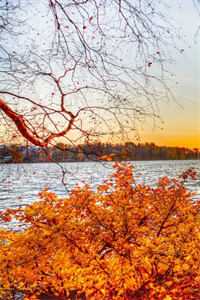 奈何清风不留人无广告