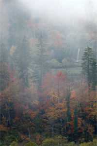 梨花枝上绵绵雪结局+番外