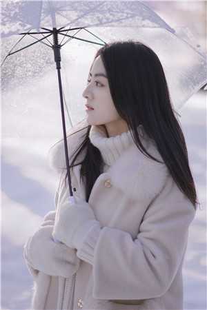 冬雪覆旧情热门小说