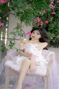 星辰醒于长夜末连载