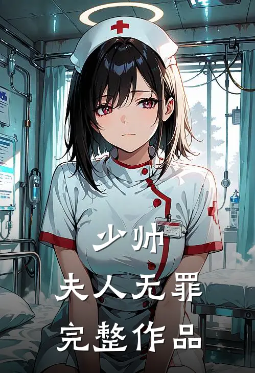 少帅,夫人无罪完整作品