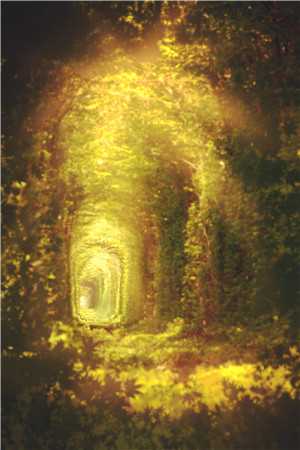 成人礼上，我把青梅让给贫困生异常火爆