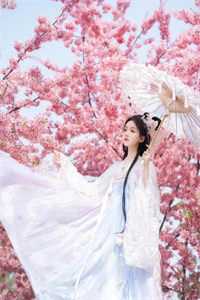 那个从山沟来的美人，掀翻了豪门圈在线阅读全本阅读