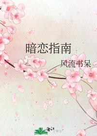 微微无风江风陈念小说
