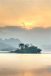 浮花浪蕊都过尽完整