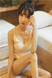 落日不曾回望我爽文