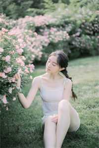 桐花零落春难辞后续+结局