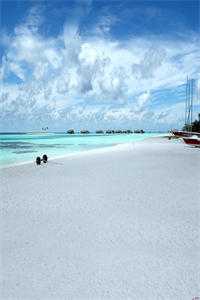 隐瞒身份实习被造黄谣，总裁老妈杀疯了人气小说