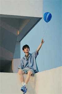 不见桐花万里路小说免费