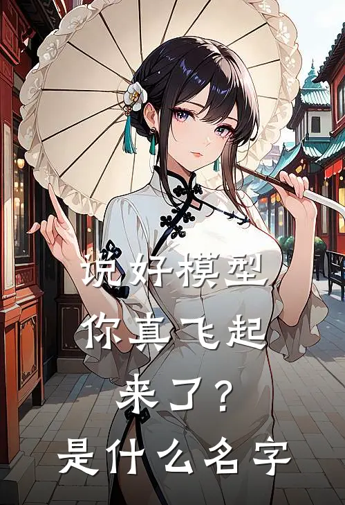 说好模型，你真飞起来了？是什么名字