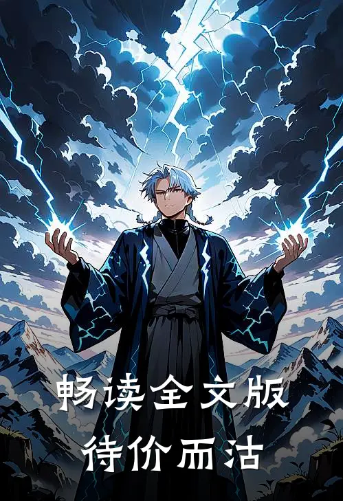 畅读全文版待价而沽