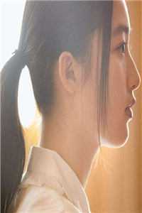 花灯如旧人已非连载