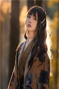 王府的婢女回乡啦小说畅读