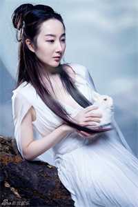 血染婚书作祭文目录