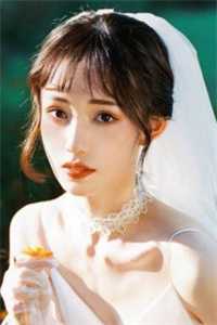 风起时，花落成殇小说全文免费阅读