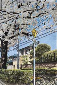 灰姑娘丢掉了她的水晶鞋完整阅读