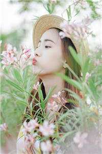 此后春雪不相逢无弹窗