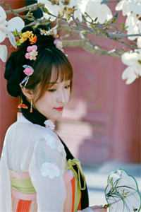 枯木逢春千山过爆款宝藏