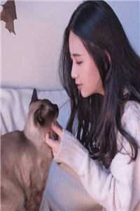 霍总，你家崽崽喊你回家追老婆完整作品