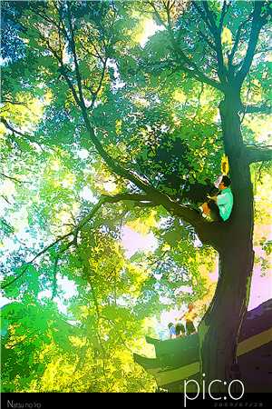 被迫替嫁：傅先生的温柔藏不住了全章节