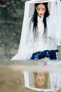 月光也曾照并肩谢言川魏疏影全局