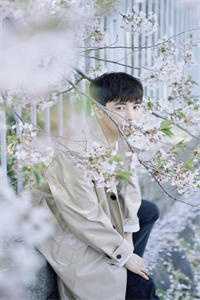 情终陌路再无你白晚凝顾铭晏前文+后续