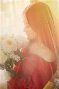 死后第二年，太子要取我的血为太子妃解毒小说大结局