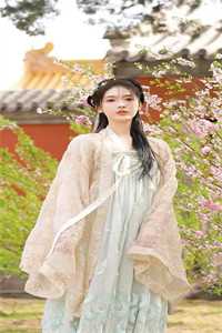 春已去，海棠将晚小说免费阅读全文