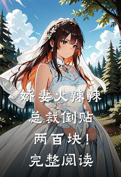 娇妻火辣辣,总裁倒贴两百块!完整阅读全文
