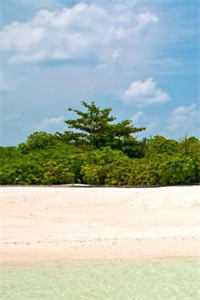 打工人被财阀千金缠上后，爆红了完结