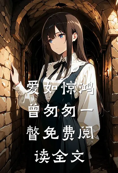 爱如惊鸿,曾匆匆一瞥免费阅读全文