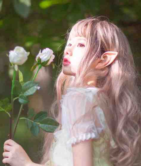 一炮三响二十年后，我选择断亲无无全文+免费