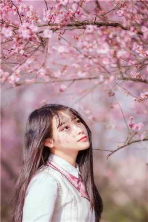 夫君要享齐人之福，却忘记我身后是整个蒙古四十九部小说全文免费