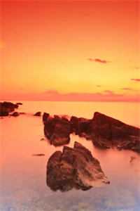 末日真千金要赶我走，她不知道我可太想走了无删减全文