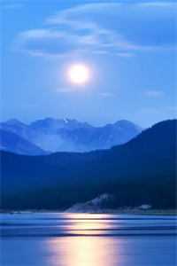 小叔囚宠：我成了盛总的笼中雀广告+结局