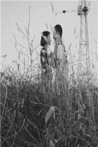 网恋对象竟是我老板小说免费阅读