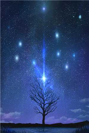 候鸟从不问归期列表