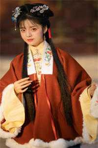 桃花尽处桃花开后续+完结