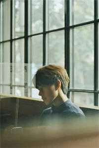 此情无计可消除最后结局