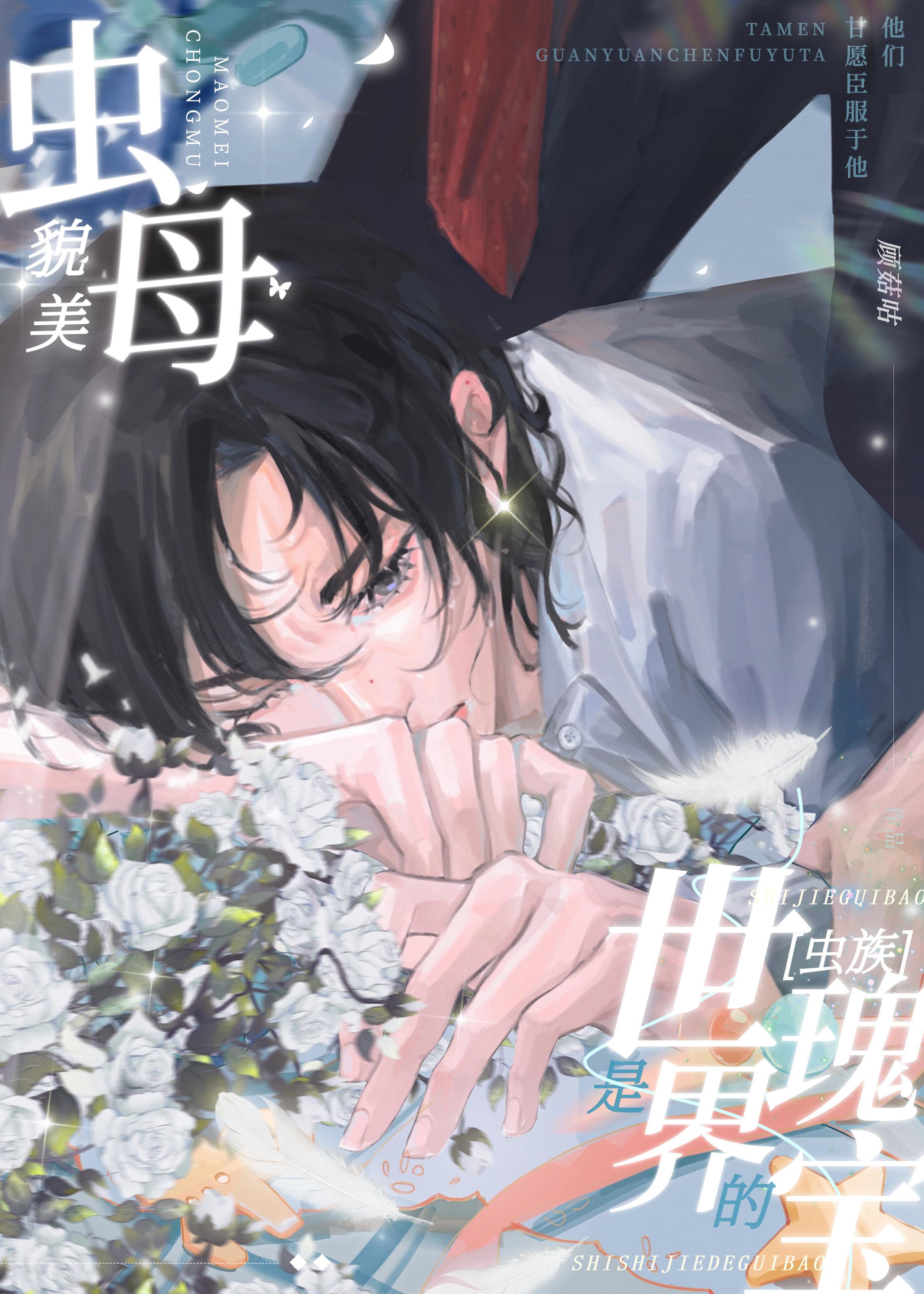 安昕容绍聿免费阅读全本小说