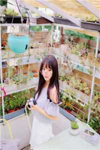 春夏未知秋时雨傅凌䂙苏清颜全局