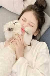 妖尊大人别虐了，夫人要跑啦在线看