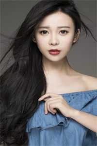 暮雪葬归途章节